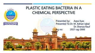 PLASTIC EATING BACTERIA IN A
CHEMICAL PERSPECTIVE
Presented by: Aqsa Ilyas
Presented To:Dr. M. Adnan Iqbal
Dr. Shanza Rauf
Ag no: 2021-ag-2666
 