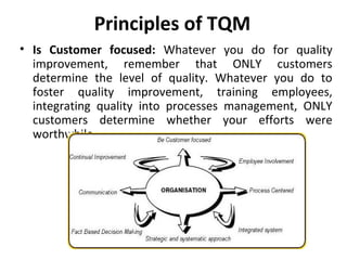 Principles of TQM 
• Is Customer focused: Whatever you do for quality 
improvement, remember that ONLY customers 
determine the level of quality. Whatever you do to 
foster quality improvement, training employees, 
integrating quality into processes management, ONLY 
customers determine whether your efforts were 
worthwhile. 
 