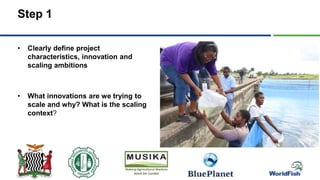 Step 1
• Clearly define project
characteristics, innovation and
scaling ambitions
• What innovations are we trying to
scale and why? What is the scaling
context?
 