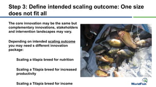 Step 3: Define intended scaling outcome: One size
does not fit all
The core innovation may be the same but
complementary innovations, stakeholders
and intervention landscapes may vary.
Depending on intended scaling outcome
you may need s different innovation
package:
Scaling a tilapia breed for nutrition
Scaling a Tilapia breed for increased
productivity
Scaling a Tilapia breed for income
 