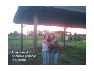 Aplaudan vino Andrea a conocer el quincho 