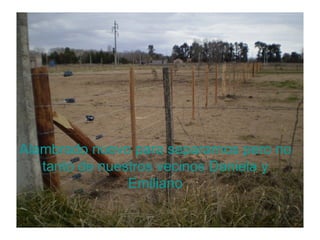 Alambrado nuevo para separarnos pero no tanto de nuestros vecinos Daniela y Emiliano 