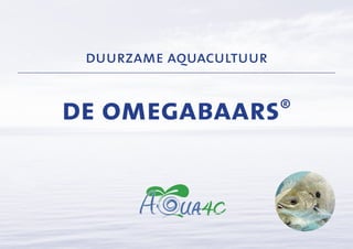 duurzame aquacultuur 
de omegabaars® 
 