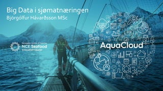 Big Data i sjømatnæringen
Björgólfur Hávarðsson MSc
 