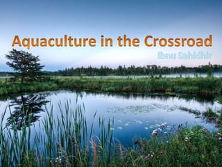 Aquaculture in the crossroads