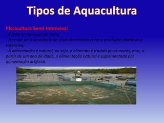 Piscicultura Semi-Intensiva:
- É feita em tanques de Terra;
- Permite uma densidade de stock intermédia entre a produção intensiva e
extensiva;
- A alimentação é natural, ou seja, o alimento é trazido pelas marés, mas, a
partir de um ano de idade, a alimentação natural é suplementada por
alimentação artificial.
 