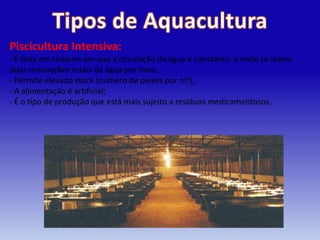 Piscicultura Intensiva:
- É feita em tanques em que a circulação da água é constante, e onde se fazem
duas renovações totais da água por hora;
- Permite elevado stock (número de peixes por m2);
- A alimentação é artificial;
- É o tipo de produção que está mais sujeito a resíduos medicamentosos.
 