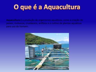 Aquacultura é a produção de organismos aquáticos, como a criação de
peixes, moluscos, crustáceos, anfíbios e o cultivo de plantas aquáticas
para uso do homem.
 