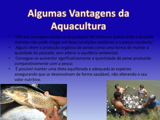 •  Oferece vantagens sociais às populações de inúmeros países onde o pescado
  marinho não pode chegar em boas condições sanitárias e a preços razoáveis;
• Alguns vêem a produção orgânica de peixes como uma forma de manter a
  qualidade do pescado, sem alterar o equilíbrio ambiental;
• Consegue-se aumentar significativamente a quantidade de peixe produzido
  comparativamente com a pesca;
• É possível manter uma dieta equilibrada e adequada às espécies
  assegurando que se desenvolvam de forma saudável, não alterando o seu
  valor nutritivo.
 