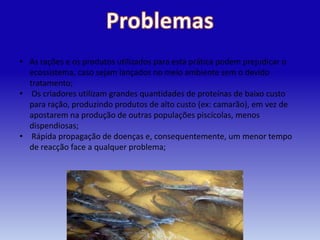 • As rações e os produtos utilizados para esta prática podem prejudicar o
  ecossistema, caso sejam lançados no meio ambiente sem o devido
  tratamento;
• Os criadores utilizam grandes quantidades de proteínas de baixo custo
  para ração, produzindo produtos de alto custo (ex: camarão), em vez de
  apostarem na produção de outras populações piscícolas, menos
  dispendiosas;
• Rápida propagação de doenças e, consequentemente, um menor tempo
  de reacção face a qualquer problema;
 