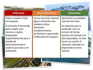 Toda a criação é feita
em tanques.
O alimento é fornecido
pelo criador com
recurso a rações
preparadas
especificamente para o
estado de
desenvolvimento e
espécie que está a ser
produzida.
Intensiva Semi intensiva Extensiva
Usa os recursos naturais
água e alimento mas
também utiliza
alimentos
complementares
de farinhas e granulado.
É efetuada em tanques.
Aproveita as condições
naturais do meio.
As espécies que se
pretende criar ou
entram de forma
passiva nos tanques ou
são capturados, na fase
larvar ou juvenil. O
alimento utilizado é o
disponível no meio
natural.
 