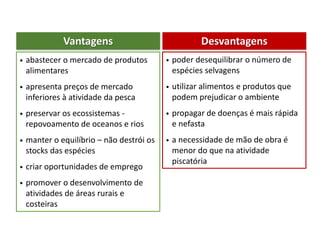 Vantagens
• abastecer o mercado de produtos
alimentares
• apresenta preços de mercado
inferiores à atividade da pesca
• preservar os ecossistemas -
repovoamento de oceanos e rios
• manter o equilíbrio – não destrói os
stocks das espécies
• criar oportunidades de emprego
• promover o desenvolvimento de
atividades de áreas rurais e
costeiras
Desvantagens
• poder desequilibrar o número de
espécies selvagens
• utilizar alimentos e produtos que
podem prejudicar o ambiente
• propagar de doenças é mais rápida
e nefasta
• a necessidade de mão de obra é
menor do que na atividade
piscatória
 