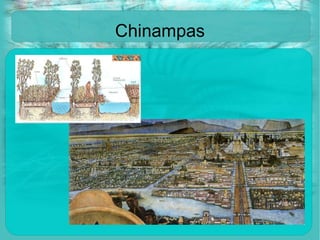 Chinampas 