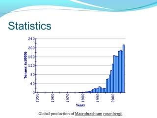 Statistics




       Global production of Macrobrachium rosenbergii
 