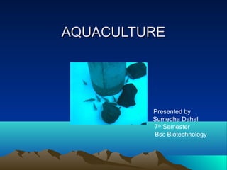 AQUACULTURE




         Presented by
         Sumedha Dahal
         7th Semester
         Bsc Biotechnology
 