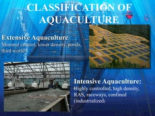 CLASSIFICATION OF
AQUACULTURE
Extensive Aquaculture:
Minimal control, lower density, ponds,
third world
Intensive Aquacult...