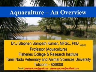 Aquaculture – An Overview
Dr.J.Stephen Sampath Kumar, MFSc., PhDDr.J.Stephen Sampath Kumar, MFSc., PhD (Aqua)(Aqua)
Professor (Aquaculture)Professor (Aquaculture)
Fisheries College & Research InstituteFisheries College & Research Institute
Tamil Nadu Veterinary and Animal Sciences UniversityTamil Nadu Veterinary and Animal Sciences University
Tuticorin – 628008Tuticorin – 628008
E-mail:E-mail: jstephenkumar@gmail.comjstephenkumar@gmail.com ,, stephensskumar@rediffmail.comstephensskumar@rediffmail.com
 