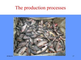 05/06/14 17
The production processes
 