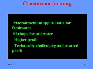05/06/14 20
Crustacean farming
Macrobrachium spp in India for
freshwater
Shrimps for salt water
Higher profit
Technically challenging and assured
profit
 