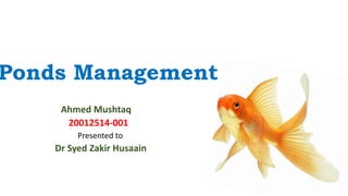 Ponds Management
Ahmed Mushtaq
20012514-001
Presented to
Dr Syed Zakir Husaain
 