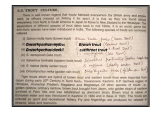 Oncorhynchus mykiss Brown trout
Oncorhynchus clarkii cutthroat trout
 