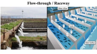 THE INTRODUCTION OF AQUACULTURE(APP).pptx