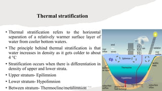 Thermal stratification
• Thermal stratification refers to the horizontal
separation of a relatively warmer surface layer of
water from cooler bottom waters.
• The principle behind thermal stratification is that
water increases in density as it gets colder to about
4 °C
• Stratification occurs when there is differentiation in
density of upper and lower strata.
• Upper stratum- Epilimnion
• Lower stratum- Hypolimnion
• Between stratum- Thermocline/metalimnion
Boby Basnet || Asst. Prof. 101
 