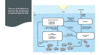 The use of fertilizers to
increase the production
of natural food for fish
Boby Basnet || Asst. Prof. 114
 