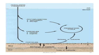 Boby Basnet || Asst. Prof. 116
 
