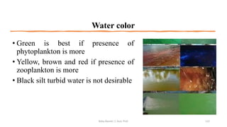 Water color
• Green is best if presence of
phytoplankton is more
• Yellow, brown and red if presence of
zooplankton is more
• Black silt turbid water is not desirable
Boby Basnet || Asst. Prof. 122
 