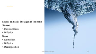Source and Sink of oxygen in the pond
Sources
• Photosynthesis
• Diffusion
Sinks
• Respiration
• Diffusion
• Decomposition
Boby Basnet || Asst. Prof. 131
 