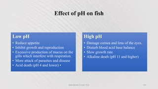 Effect of pH on fish
Low pH
• Reduce appetite
• Inhibit growth and reproduction
• Excessive production of mucus on the
gills which interfere with respiration.
• More attack of parasites and disease
• Acid death (pH 4 and lower) •
High pH
• Damage cornea and lens of the eyes.
• Disturb blood acid base balance
• Slow growth rate
• Alkaline death (pH 11 and higher)
Boby Basnet || Asst. Prof. 145
 