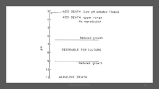 Boby Basnet || Asst. Prof. 146
 