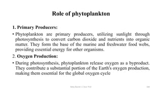 Role of phytoplankton
1. Primary Producers:
• Phytoplankton are primary producers, utilizing sunlight through
photosynthesis to convert carbon dioxide and nutrients into organic
matter. They form the base of the marine and freshwater food webs,
providing essential energy for other organisms.
2. Oxygen Production:
• During photosynthesis, phytoplankton release oxygen as a byproduct.
They contribute a substantial portion of the Earth's oxygen production,
making them essential for the global oxygen cycle
Boby Basnet || Asst. Prof. 168
 