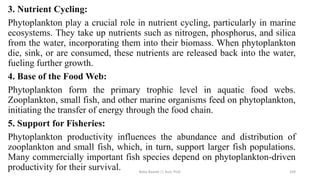 3. Nutrient Cycling:
Phytoplankton play a crucial role in nutrient cycling, particularly in marine
ecosystems. They take up nutrients such as nitrogen, phosphorus, and silica
from the water, incorporating them into their biomass. When phytoplankton
die, sink, or are consumed, these nutrients are released back into the water,
fueling further growth.
4. Base of the Food Web:
Phytoplankton form the primary trophic level in aquatic food webs.
Zooplankton, small fish, and other marine organisms feed on phytoplankton,
initiating the transfer of energy through the food chain.
5. Support for Fisheries:
Phytoplankton productivity influences the abundance and distribution of
zooplankton and small fish, which, in turn, support larger fish populations.
Many commercially important fish species depend on phytoplankton-driven
productivity for their survival. Boby Basnet || Asst. Prof. 169
 
