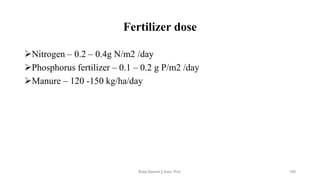 Fertilizer dose
➢Nitrogen – 0.2 – 0.4g N/m2 /day
➢Phosphorus fertilizer – 0.1 – 0.2 g P/m2 /day
➢Manure – 120 -150 kg/ha/day
Boby Basnet || Asst. Prof. 195
 