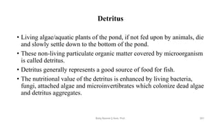 Detritus
• Living algae/aquatic plants of the pond, if not fed upon by animals, die
and slowly settle down to the bottom of the pond.
• These non-living particulate organic matter covered by microorganism
is called detritus.
• Detritus generally represents a good source of food for fish.
• The nutritional value of the detritus is enhanced by living bacteria,
fungi, attached algae and microinvertibrates which colonize dead algae
and detritus aggregates.
Boby Basnet || Asst. Prof. 201
 