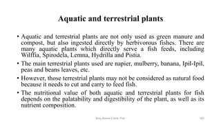 Aquatic and terrestrial plants
• Aquatic and terrestrial plants are not only used as green manure and
compost, but also ingested directly by herbivorous fishes. There are
many aquatic plants which directly serve a fish feeds, including
Wilffia, Spirodela, Lemna, Hydrilla and Pistia.
• The main terrestrial plants used are napier, mulberry, banana, Ipil-Ipil,
peas and beans leaves, etc.
• However, those terrestrial plants may not be considered as natural food
because it needs to cut and carry to feed fish.
• The nutritional value of both aquatic and terrestrial plants for fish
depends on the palatability and digestibility of the plant, as well as its
nutrient composition.
Boby Basnet || Asst. Prof. 202
 