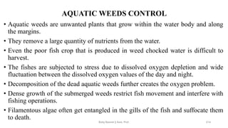 AQUATIC WEEDS CONTROL
• Aquatic weeds are unwanted plants that grow within the water body and along
the margins.
• They remove a large quantity of nutrients from the water.
• Even the poor fish crop that is produced in weed chocked water is difficult to
harvest.
• The fishes are subjected to stress due to dissolved oxygen depletion and wide
fluctuation between the dissolved oxygen values of the day and night.
• Decomposition of the dead aquatic weeds further creates the oxygen problem.
• Dense growth of the submerged weeds restrict fish movement and interfere with
fishing operations.
• Filamentous algae often get entangled in the gills of the fish and suffocate them
to death.
Boby Basnet || Asst. Prof. 214
 