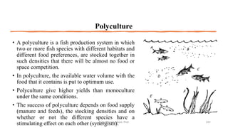 Polyculture
• A polyculture is a fish production system in which
two or more fish species with different habitats and
different food preferences, are stocked together in
such densities that there will be almost no food or
space competition.
• In polyculture, the available water volume with the
food that it contains is put to optimum use.
• Polyculture give higher yields than monoculture
under the same conditions.
• The success of polyculture depends on food supply
(manure and feeds), the stocking densities and on
whether or not the different species have a
stimulating effect on each other (synergism).
Boby Basnet || Asst. Prof. 231
 