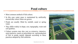 Pond culture
• Most common method of fish culture.
• In this case water mass is maintained by artificially
erected dike where fishes are grown.
• Ponds are usually filled by rainfall, canal or spring
water.
• They differ widely in shape, size, topography, water and
soil qualities.
• Culture systems may also vary as extensive, intensive,
semi-intensive, mono or polyculture etc. and production
of fish in ponds mainly depends according to these
practices adopted by fish culturists.
Boby Basnet || Asst. Prof. 236
 