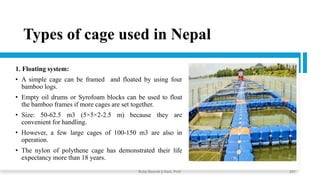 Types of cage used in Nepal
1. Floating system:
• A simple cage can be framed and floated by using four
bamboo logs.
• Empty oil drums or Syrofoam blocks can be used to float
the bamboo frames if more cages are set together.
• Size: 50-62.5 m3 (5×5×2-2.5 m) because they are
convenient for handling.
• However, a few large cages of 100-150 m3 are also in
operation.
• The nylon of polythene cage has demonstrated their life
expectancy more than 18 years.
Boby Basnet || Asst. Prof. 241
 