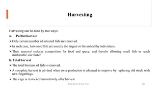 Harvesting
Harvesting can be done by two ways:
a. Partial harvest
➢Only certain number of selected fish are removed.
➢In such case, harvested fish are usually the largest or the unhealthy individuals.
➢Their removal reduces competition for food and space, and thereby allowing small fish to reach
marketable size faster.
b. Total harvest
➢The total biomass of fish is removed.
➢A complete harvest is advised when over production is planned to improve by replacing old stock with
new fingerlings.
➢The cage is restocked immediately after harvest.
Boby Basnet || Asst. Prof. 243
 