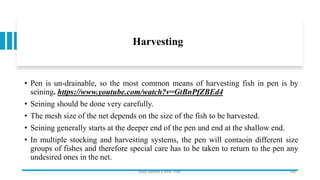 Harvesting
• Pen is un-drainable, so the most common means of harvesting fish in pen is by
seining. https://www.youtube.com/watch?v=GtBnPfZBEd4
• Seining should be done very carefully.
• The mesh size of the net depends on the size of the fish to be harvested.
• Seining generally starts at the deeper end of the pen and end at the shallow end.
• In multiple stocking and harvesting systems, the pen will contaoin different size
groups of fishes and therefore special care has to be taken to return to the pen any
undesired ones in the net.
Boby Basnet || Asst. Prof. 248
 