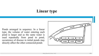 Linear type
Ponds arranged in sequence. In a linear
type, the volume of water entering each
pond is larger and as the same water is
used repeatedly from pond to pond,
occurrence of disease in initial ponds may
directly affect the other connected ponds
Boby Basnet || Asst. Prof. 250
 