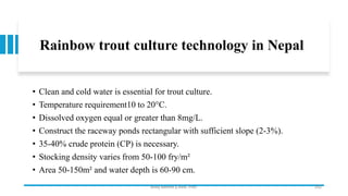 Rainbow trout culture technology in Nepal
• Clean and cold water is essential for trout culture.
• Temperature requirement10 to 20°C.
• Dissolved oxygen equal or greater than 8mg/L.
• Construct the raceway ponds rectangular with sufficient slope (2-3%).
• 35-40% crude protein (CP) is necessary.
• Stocking density varies from 50-100 fry/m²
• Area 50-150m² and water depth is 60-90 cm.
Boby Basnet || Asst. Prof. 252
 