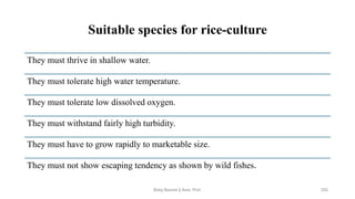 Suitable species for rice-culture
They must thrive in shallow water.
They must tolerate high water temperature.
They must tolerate low dissolved oxygen.
They must withstand fairly high turbidity.
They must have to grow rapidly to marketable size.
They must not show escaping tendency as shown by wild fishes.
Boby Basnet || Asst. Prof. 255
 