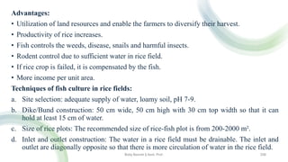 Advantages:
• Utilization of land resources and enable the farmers to diversify their harvest.
• Productivity of rice increases.
• Fish controls the weeds, disease, snails and harmful insects.
• Rodent control due to sufficient water in rice field.
• If rice crop is failed, it is compensated by the fish.
• More income per unit area.
Techniques of fish culture in rice fields:
a. Site selection: adequate supply of water, loamy soil, pH 7-9.
b. Dike/Bund construction: 50 cm wide, 50 cm high with 30 cm top width so that it can
hold at least 15 cm of water.
c. Size of rice plots: The recommended size of rice-fish plot is from 200-2000 m².
d. Inlet and outlet construction: The water in a rice field must be drainable. The inlet and
outlet are diagonally opposite so that there is more circulation of water in the rice field.
Boby Basnet || Asst. Prof. 256
 
