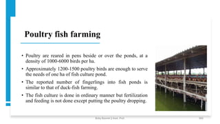 Poultry fish farming
• Poultry are reared in pens beside or over the ponds, at a
density of 1000-6000 birds per ha.
• Approximately 1200-1500 poultry birds are enough to serve
the needs of one ha of fish culture pond.
• The reported number of fingerlings into fish ponds is
similar to that of duck-fish farming.
• The fish culture is done in ordinary manner but fertilization
and feeding is not done except putting the poultry dropping.
Boby Basnet || Asst. Prof. 263
 