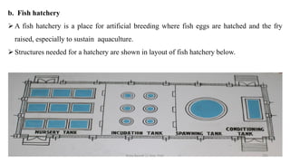 b. Fish hatchery
➢A fish hatchery is a place for artificial breeding where fish eggs are hatched and the fry
raised, especially to sustain aquaculture.
➢Structures needed for a hatchery are shown in layout of fish hatchery below.
Boby Basnet || Asst. Prof. 285
 